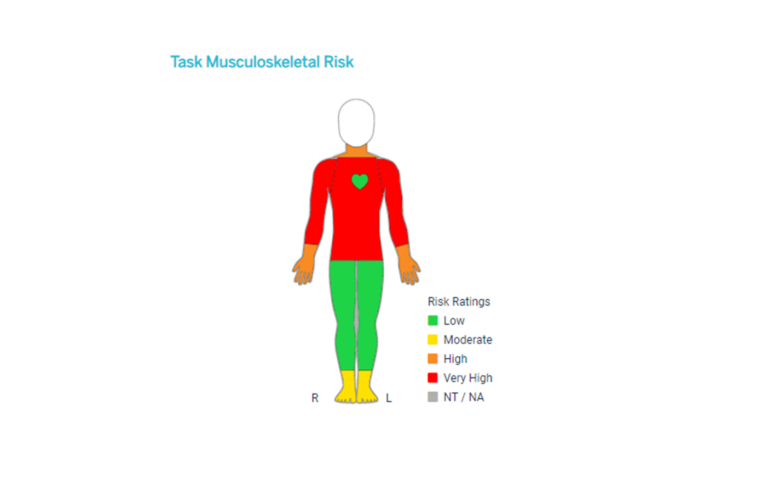 Read more about the article Automated Risk Assessment to Manage Manual Task Injury Risk